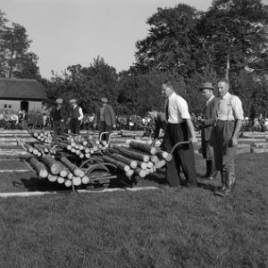 Mannen, grasvelden, planken, kruiwagens, boomstammen, Bestanddeelnr 251-8908