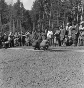 Mannen, werkzaamheden, mensen, demonstraties, Bestanddeelnr 251-8421