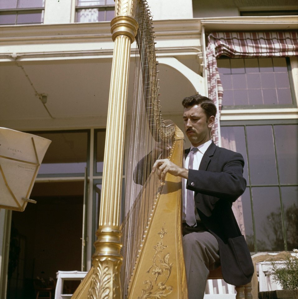 Mannen, muziekinstrumenten, harp, Bestanddeelnr 254-7295