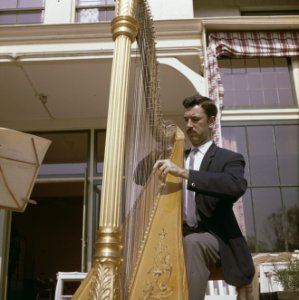 Mannen, muziekinstrumenten, harp, Bestanddeelnr 254-7295