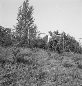 Mannen, dijken, afrasteringen, beplantingen, kabels, Bestanddeelnr 253-4596
