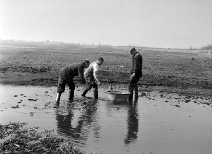 Mannen, water, bakken, werkzaamheden, Bestanddeelnr 253-6749