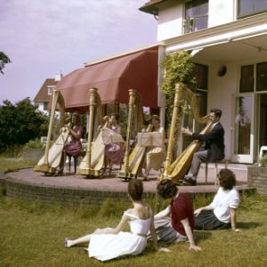 Mannen, vrouwen, muziekinstrumenten, harp, Bestanddeelnr 254-7296
