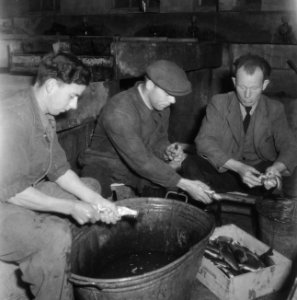 Mannen aan het werk in de kwekerij, Bestanddeelnr 918-3782