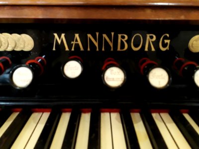 Mannborg Harmonium - 6