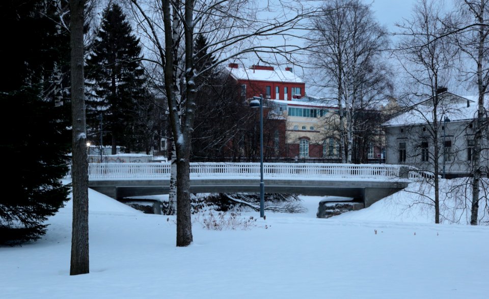 Mannenkatu Bridge Oulu 20180114