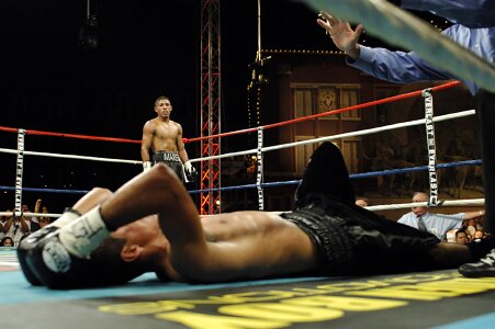 Knock out fighter photo