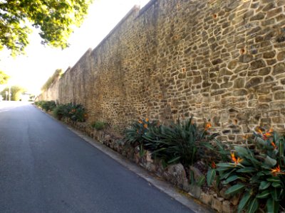 Manly Retaining Wall