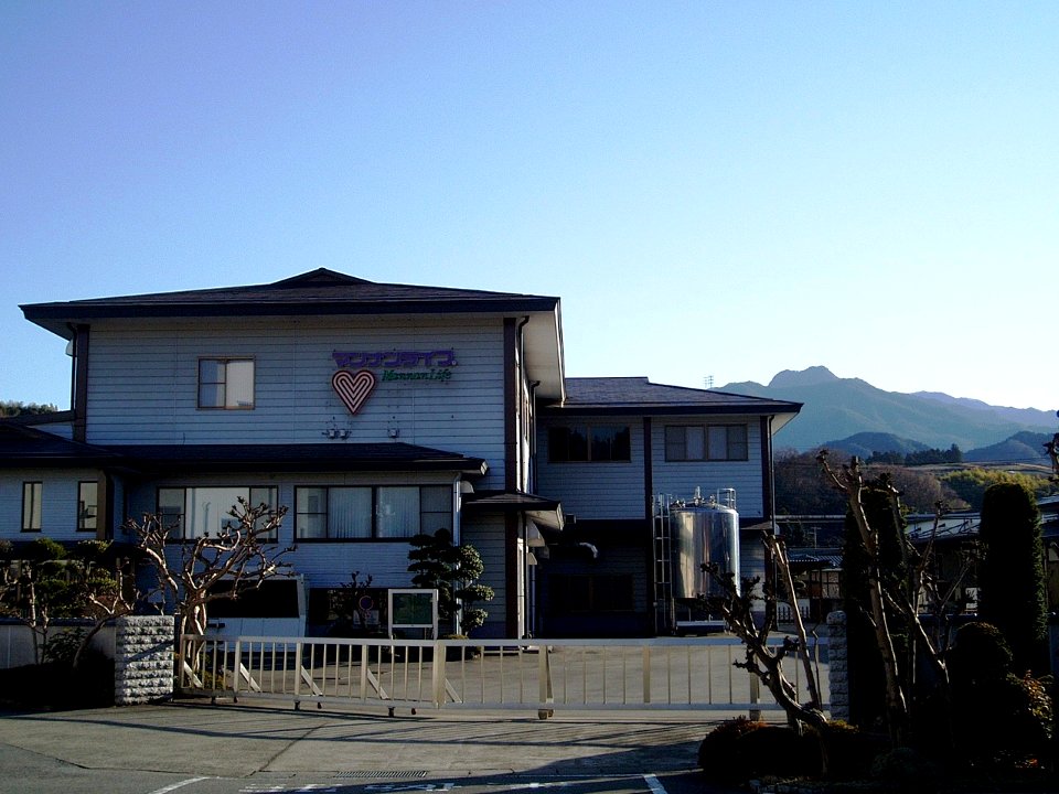 Mannan-Life-HQ-2012121601