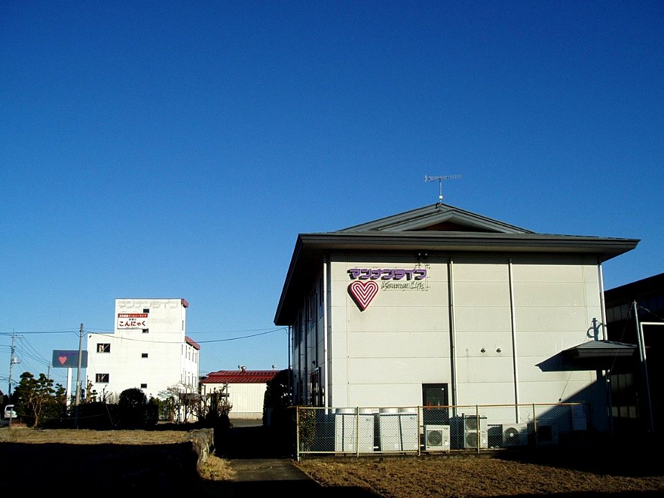 Mannan-Life-HQ-2012121602