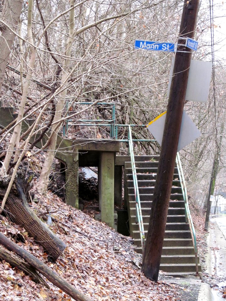 Mann Street at Woodruff Street, Mount Washington, 2021-01-02