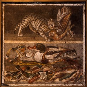 MANNapoli 9993 mosaic casa del fauno cat birds ducks Pompeii Italy photo