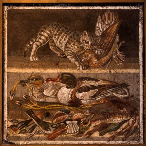 MANNapoli 9993 mosaic casa del fauno cat birds ducks Pompeii Italy