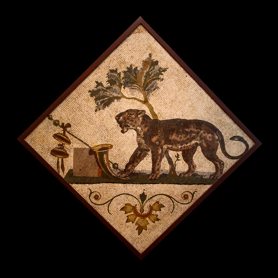 MANNapoli SN mosaic Panthere