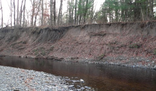 Manna site cut bank series b