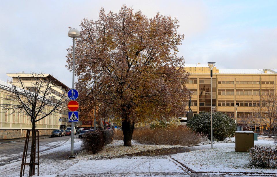 Mannerheim Park Oulu 20161026