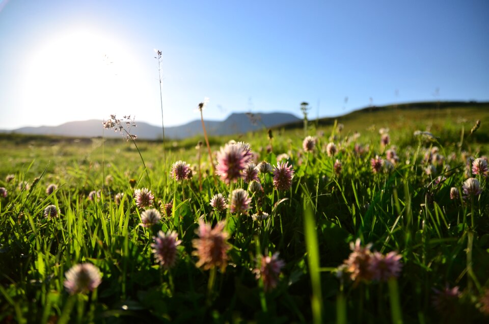 Kaçkars grassland natur