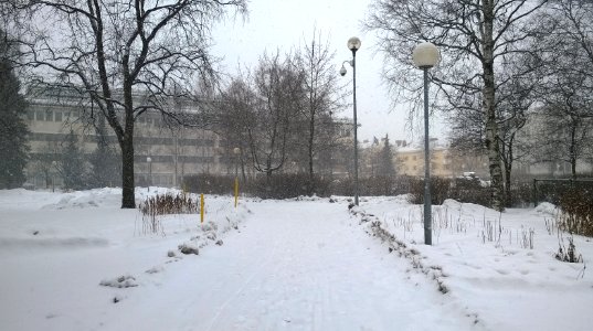 Mannerheim Park Oulu 20160324