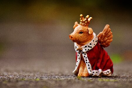 Funny cute crown