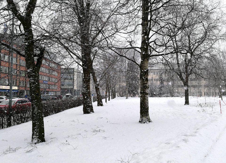Mannerheim Park Oulu 20170328