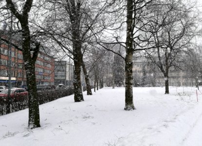 Mannerheim Park Oulu 20170328