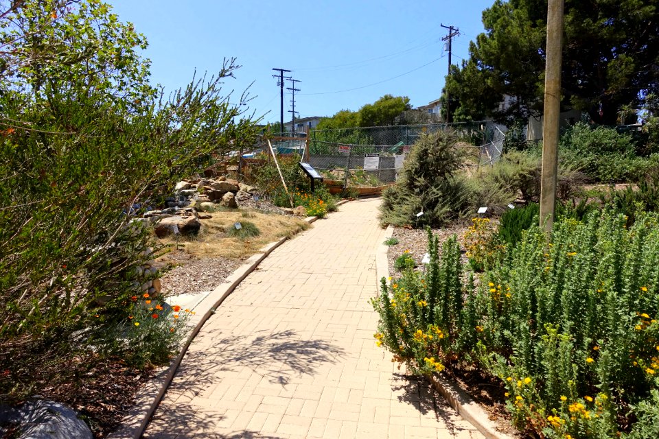 Manhattan Beach Botanical Garden - Manhattan Beach, CA - DSC01337