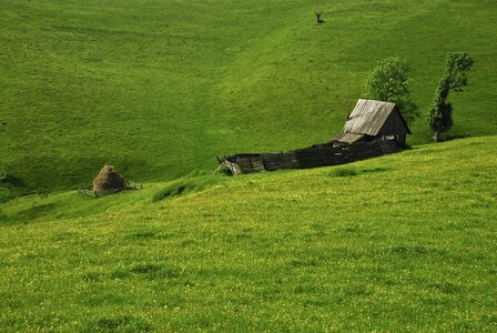 Rustic mountain green mountain