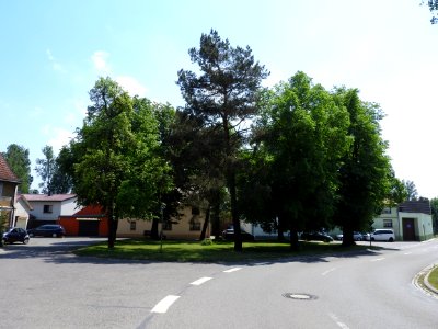 Mannstedt 1