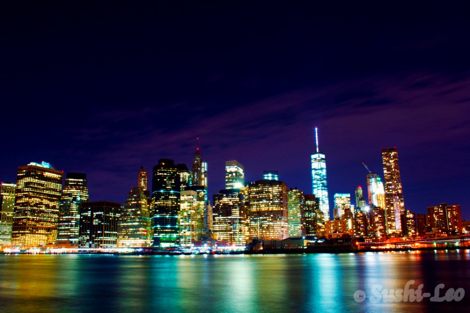 Manhattan Skyline (95010593)