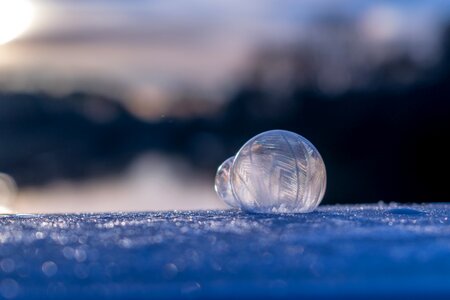 Wintry frozen bubble cold photo