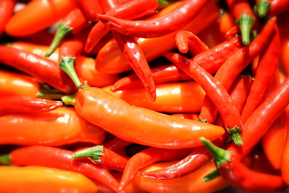 Serrano chili orange pepper vegetables