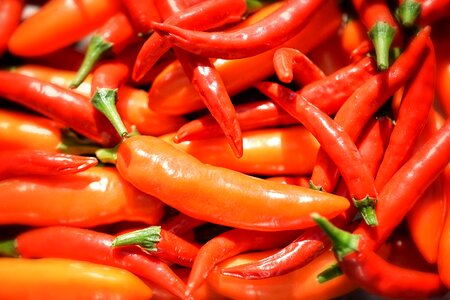 Serrano chili orange pepper vegetables photo