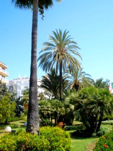 Marbella - Calle José Meliá 1