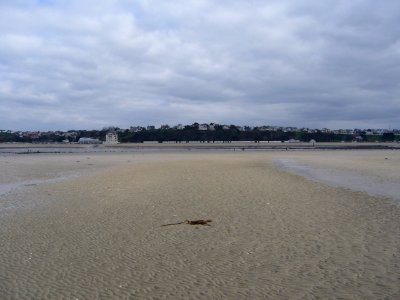 Marée du Siècle - Granville 37