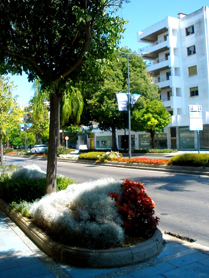 Marbella - Avenida Ricardo Soriano 06