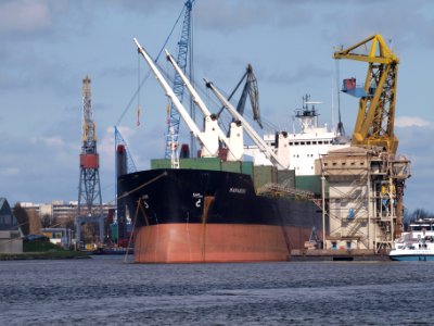 Marabou IMO 8610916 at Port of Amsterdam, The netherlands pic1