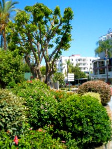 Marbella - Avenida Ricardo Soriano 04