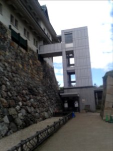Maple's Nagoya Castle (3)
