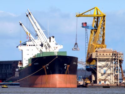 Marabou IMO 8610916 at Port of Amsterdam, The netherlands pic2
