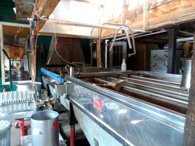 Maple Syrup Production Equipment photo