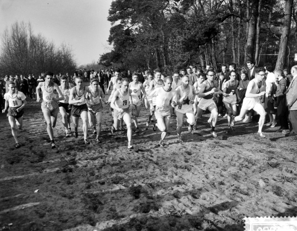 Maple Leaf veldloop in Hilversum, Bestanddeelnr 910-1880