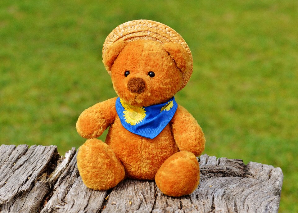 Stuffed animal teddy bear brown bear