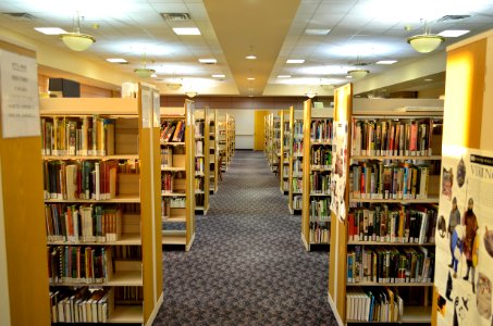 MapleLibrary2