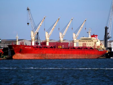 Maple Glory - IMO 9587180 - Call Sign VRGV4 in the Churchilldok, Port of Antwerp
