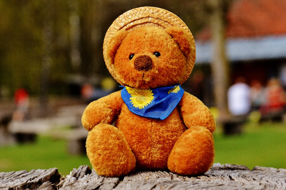 Stuffed animal teddy bear brown bear