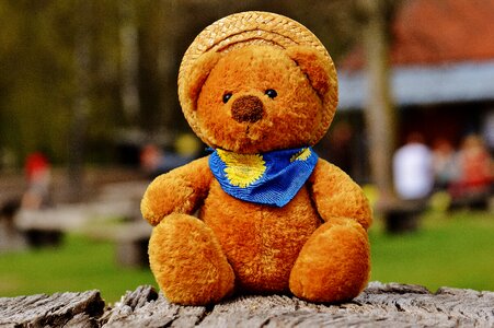 Stuffed animal teddy bear brown bear