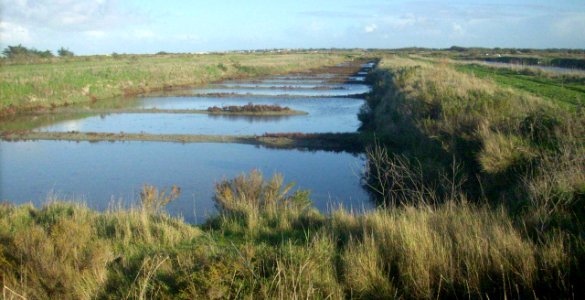 Marais salants re 01