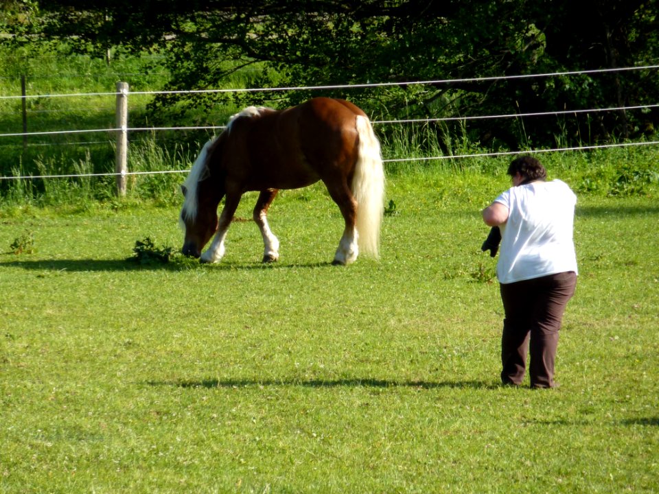 Marbach Schwarzwälder soll fotografiert werden