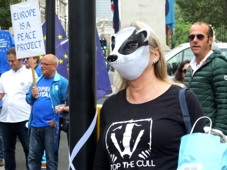 March for Europe -September 3246
