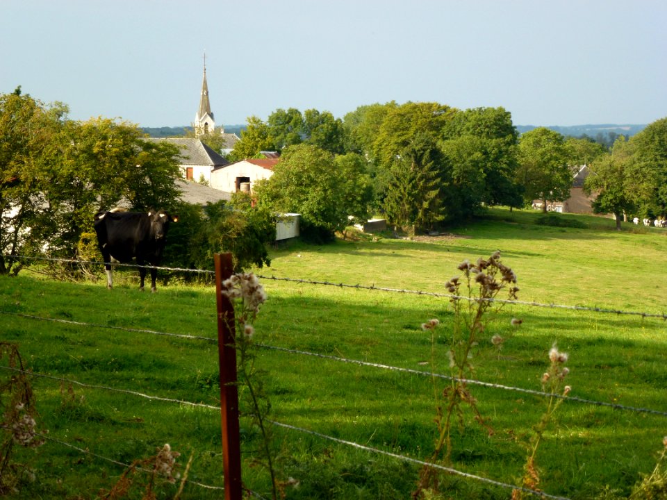 Maranwez (Ardennes) vue du village